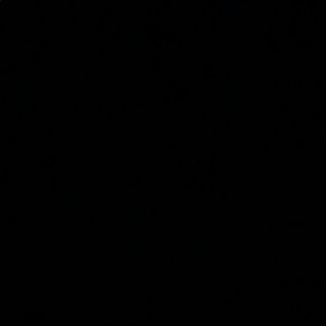 Meet your Posher, Lucy